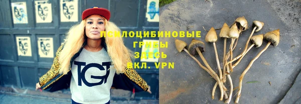 гидропоника Нефтекумск