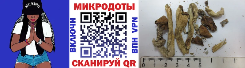 Псилоцибиновые грибы прущие грибы  Югорск 